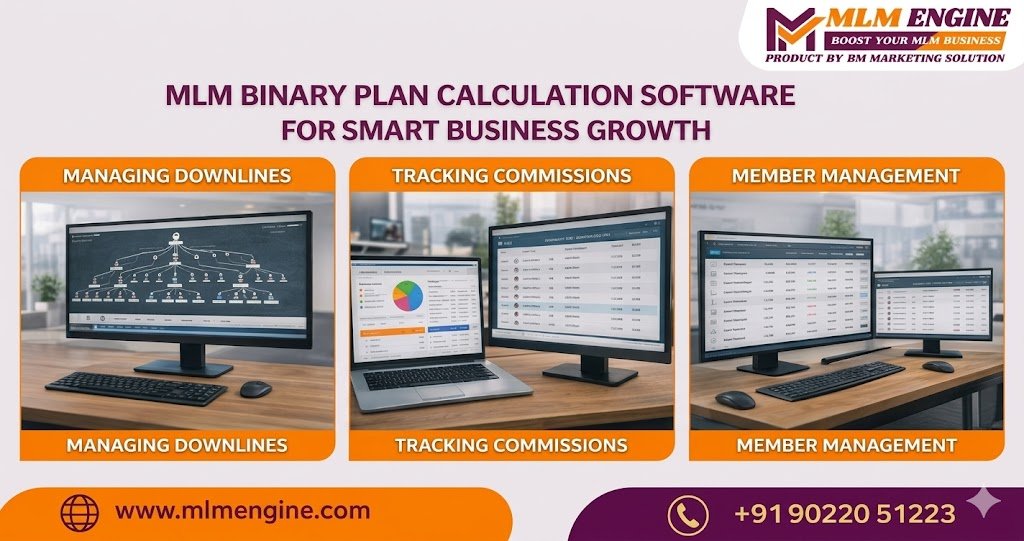 MLM Binary Plan Calculation Software